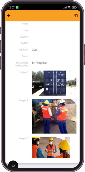 Bee-SAFE.app E-mails & PDFs